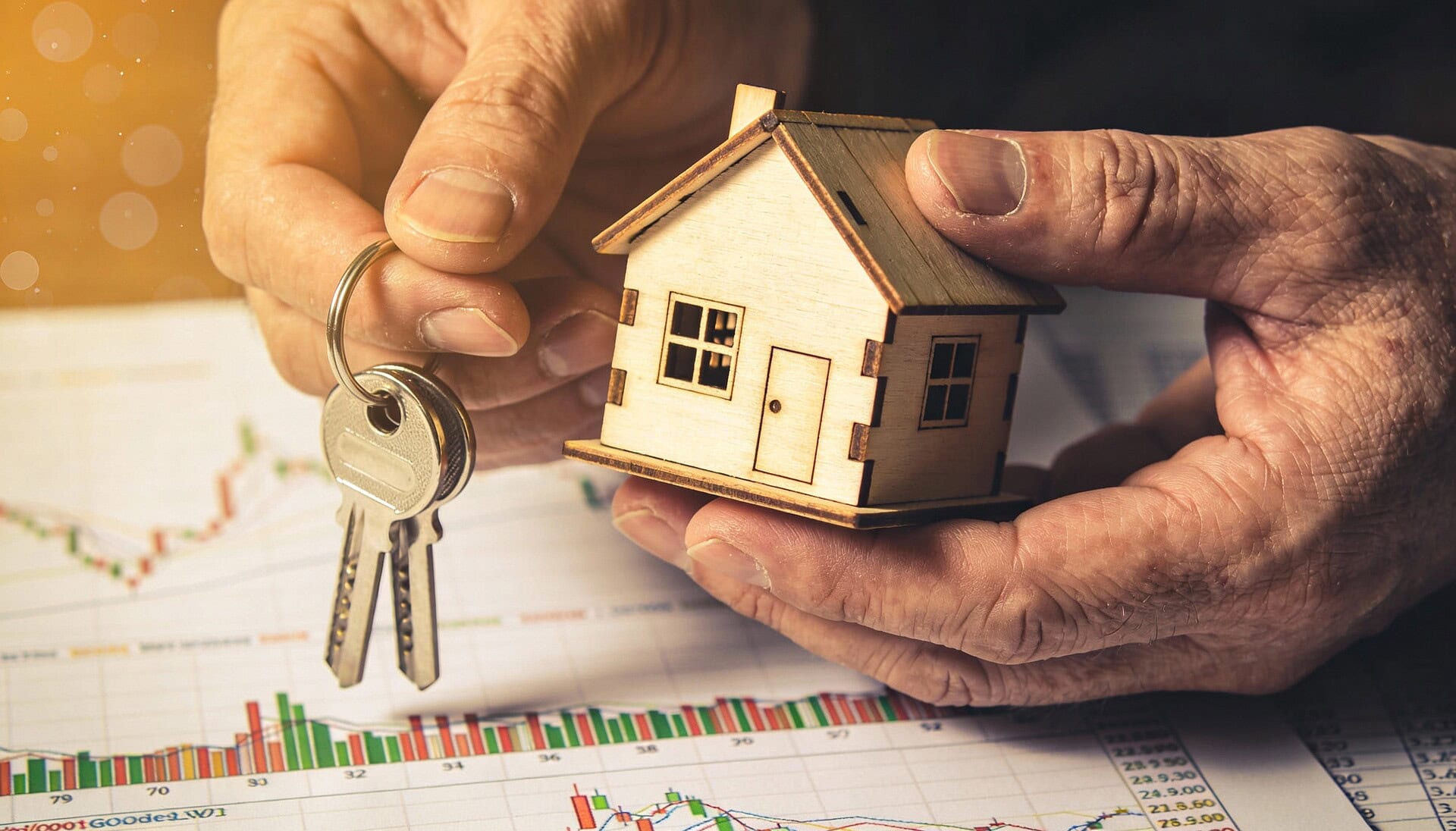 Whitefield Real Estate GmbH, Whitefield Capital GmbH, Whitefield Investment AG, Whitefield Group, Whitefield Immobilien, Whitefield Unternehmen, Aydin Tasci