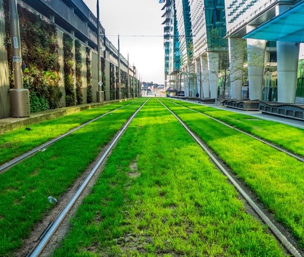 Photo "Green Infrastructure: How Cities Become More Sustainable"