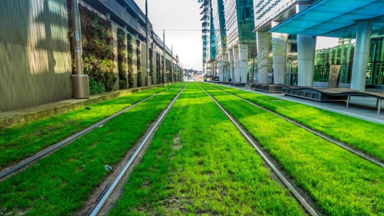 Photo "Green Infrastructure: How Cities Become More Sustainable"