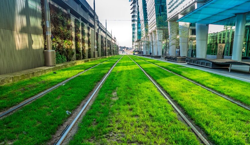 Photo "Green Infrastructure: How Cities Become More Sustainable"